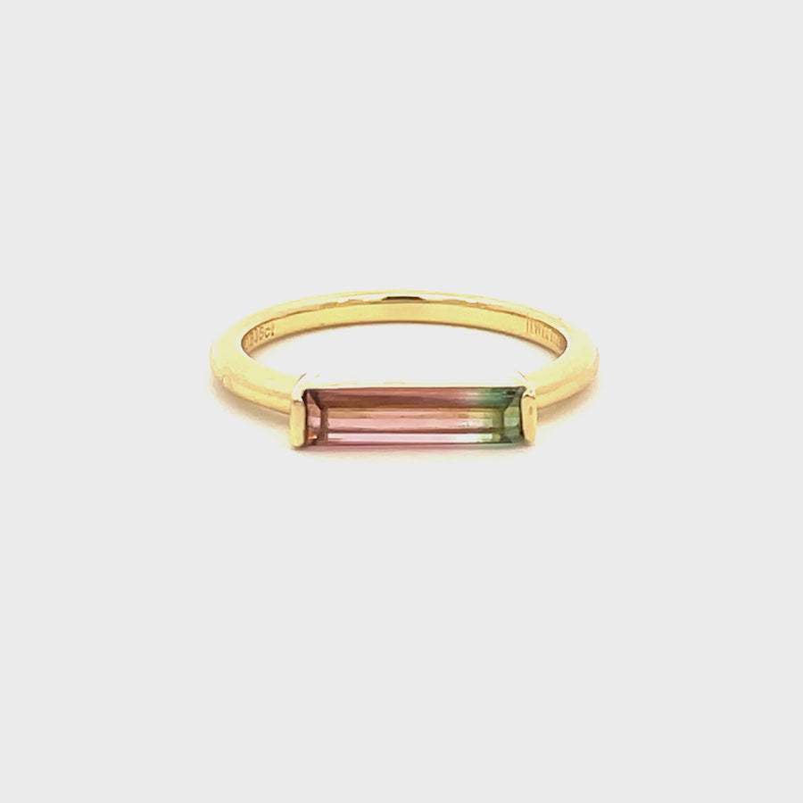 Bi-color Watermelon Tourmaline Bar Ring