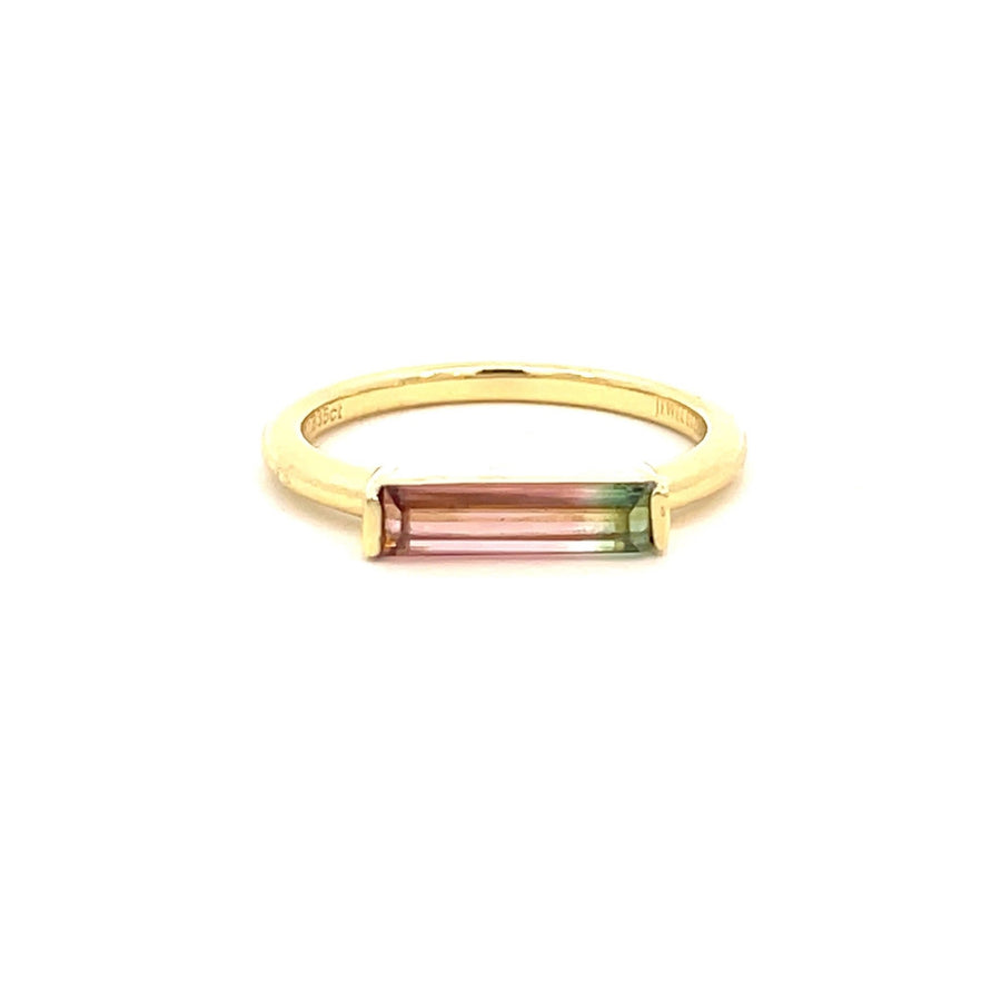 Bi - color Watermelon Tourmaline Bar Ring - Jewel Eternal